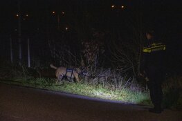 Getuigen gezocht van bedreiging in Velsen-Noord
