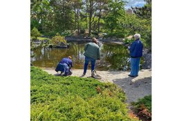 Ontdek de kunst van Smartphone Fotografie: tips voor de beste Foto's!