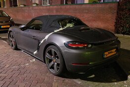 'Vla kattenkwaad in IJmuiden'