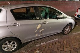 'Vla kattenkwaad in IJmuiden'