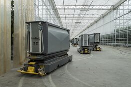 Expositie Het Nieuwe Leven 13 kunstenaars geven hun visie op Het Nieuwe Leven in het Raadhuis voor de Kunst in Oud-Velsen