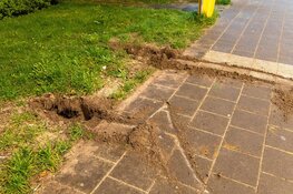 Regenboog-bankje in Driehuis weer uit de grond getrokken
