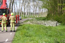 Deel boom valt op auto in Velsen-Zuid