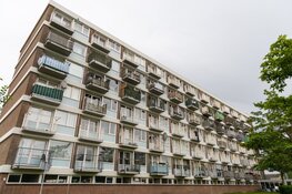 Politie doet inval in woning IJmuiden, één persoon aangehouden