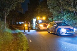 Automobiliste onder invloed rijdt bosjes in