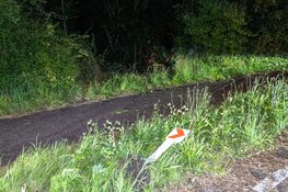 Automobiliste onder invloed rijdt bosjes in