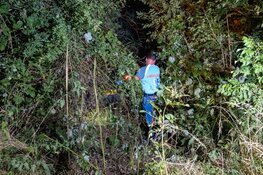 Automobiliste onder invloed rijdt bosjes in