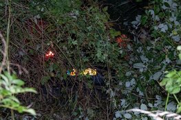 Automobiliste onder invloed rijdt bosjes in