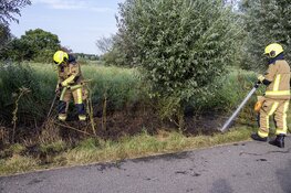 Stuk natuurgebied in brand langs de Westlaan in Velserbroek
