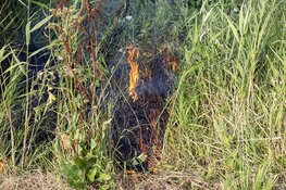 Stuk natuurgebied in brand langs de Westlaan in Velserbroek