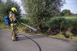 Stuk natuurgebied in brand langs de Westlaan in Velserbroek