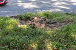 Automobilist krijgt eenzijdig ongeluk in Velsen-Zuid