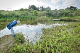 Vrijwilligers herstellen paddenpoel!