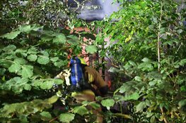 Uitslaande brand in bijgebouw Velsen Noord