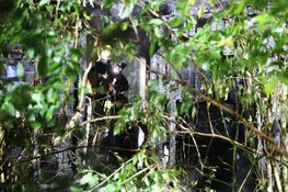 Uitslaande brand in bijgebouw Velsen Noord