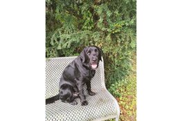 Samen een heerlijke boswandeling