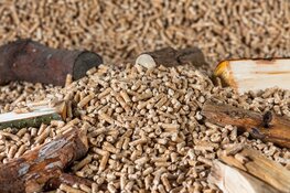 IJmuiden maakt grote stappen in verduurzaming en energiebesparing