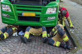 Poes zat vast in motorblok vrachtwagen in Santpoort-Noord