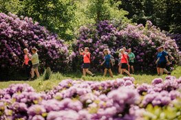 KiKa Haarlem City Walk ook dit jaar onverminderd populair