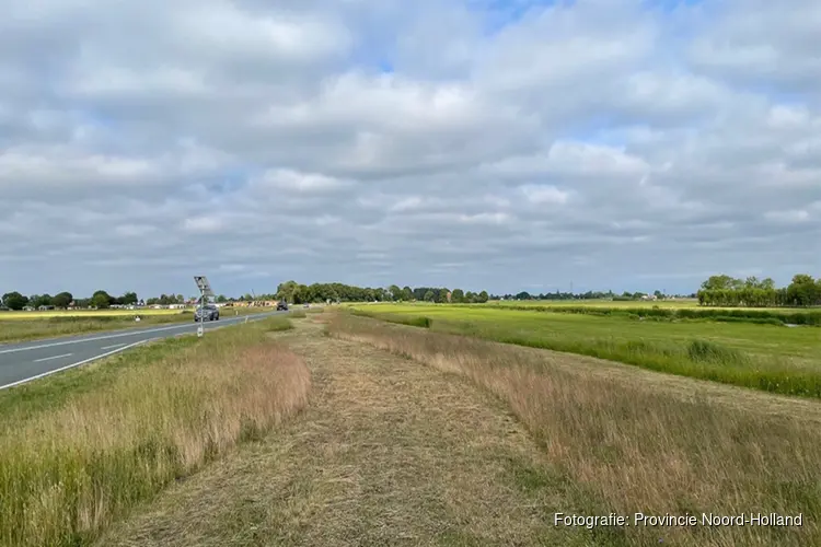 Positieve resultaten natuurvriendelijk bermbeheer provincie Noord-Holland