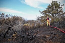 Weet jij wat je moet doen bij een natuurbrand?