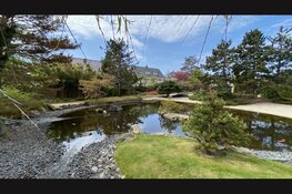 Gegarandeerd betere smartphone foto’s!