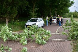 Boom valt op rijdende auto in Santpoort-Noord