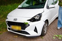 Boom valt op rijdende auto in Santpoort-Noord