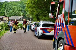 Boom valt op rijdende auto in Santpoort-Noord