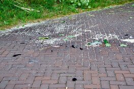 Boom valt op rijdende auto in Santpoort-Noord