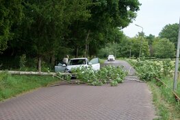 Boom valt op rijdende auto in Santpoort-Noord