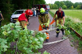 Boom valt op rijdende auto in Santpoort-Noord
