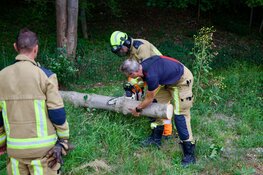 Boom valt op rijdende auto in Santpoort-Noord