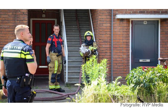 Brandweer redt kat uit brandende woning Velsen Noord