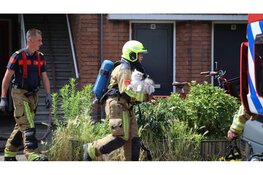 Brandweer redt kat uit brandende woning Velsen Noord