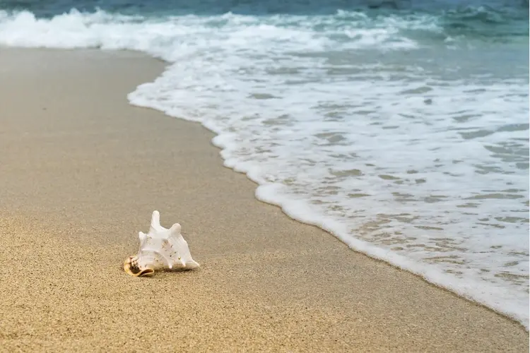 Kom naar de stranden van IJmuiden