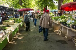 Krijg energieadvies op de PreSail-markt