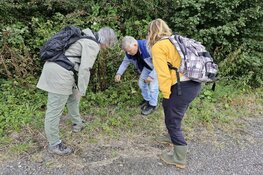 Natuurmarathon: 24 uur natuur bij Boerderij Zorgvrij