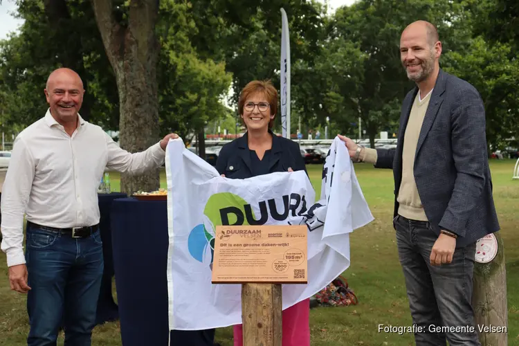 Start een buurtactie groene daken!