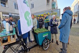 Start een buurtactie groene daken!