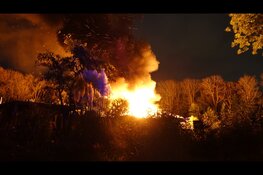 Metershoge vlammen bij brand op Volkstuincompex in Velsen-Noord