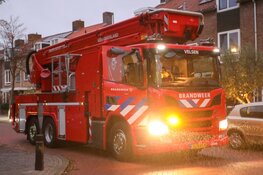 Kat raakt vast tussen klapraam