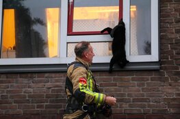 Kat raakt vast tussen klapraam