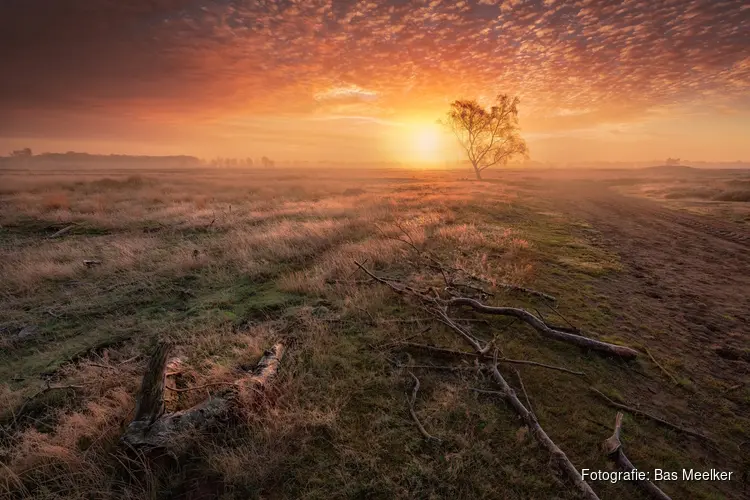 Workshop herfstlandschap in Beeckesteijn met Bas Meelker