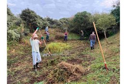 Paddenpoelen herstellen op de IJmuiderslag