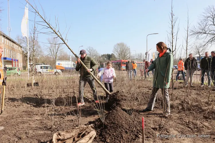 100 extra bomen planten in Santpoort-Noord