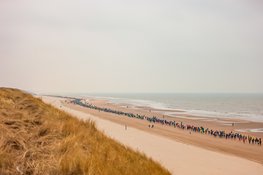 Egmond trotseert elementen: Niyonkuru zegeviert, Niesten en Brinkman op podium