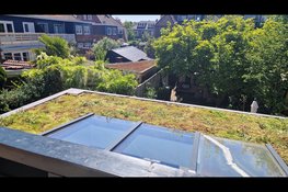 Doe mee met groene daken-actie in Velsen