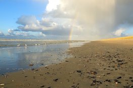 Winterse strandexcursie in IJmuiden