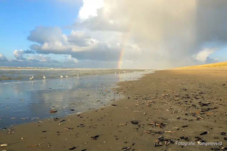 Winterse strandexcursie in IJmuiden
